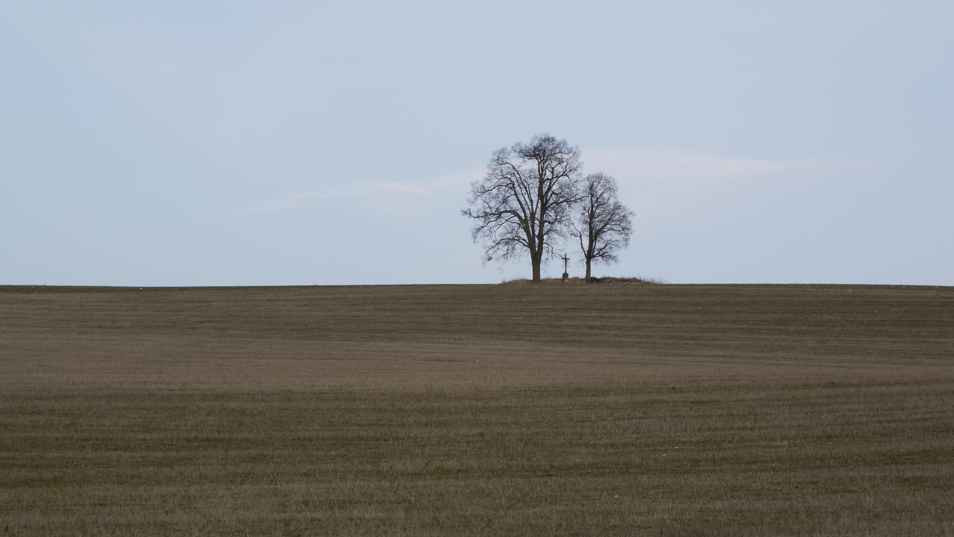 _1000207