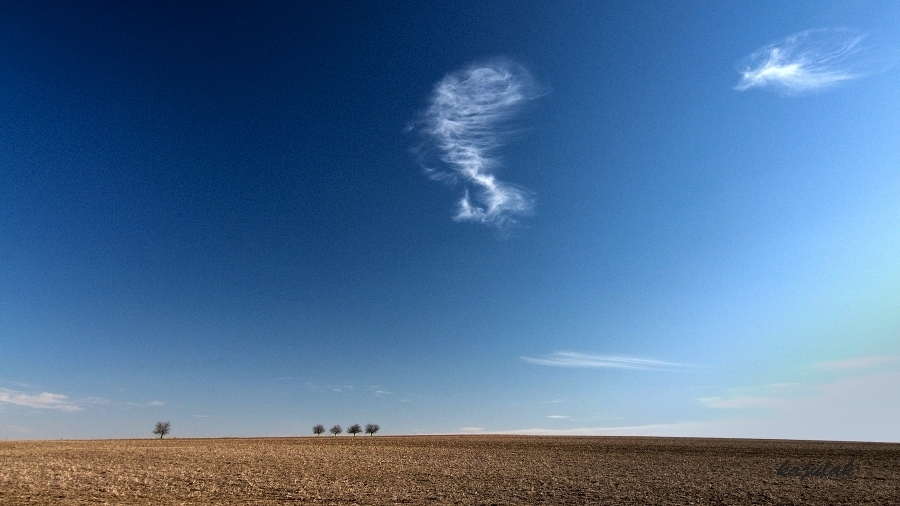 _DSC0013