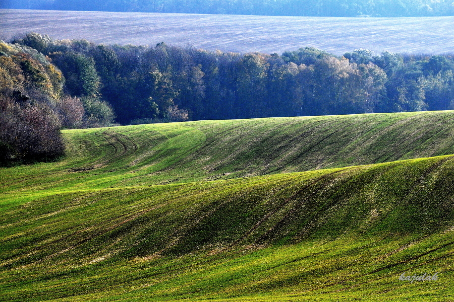 DSC_4158